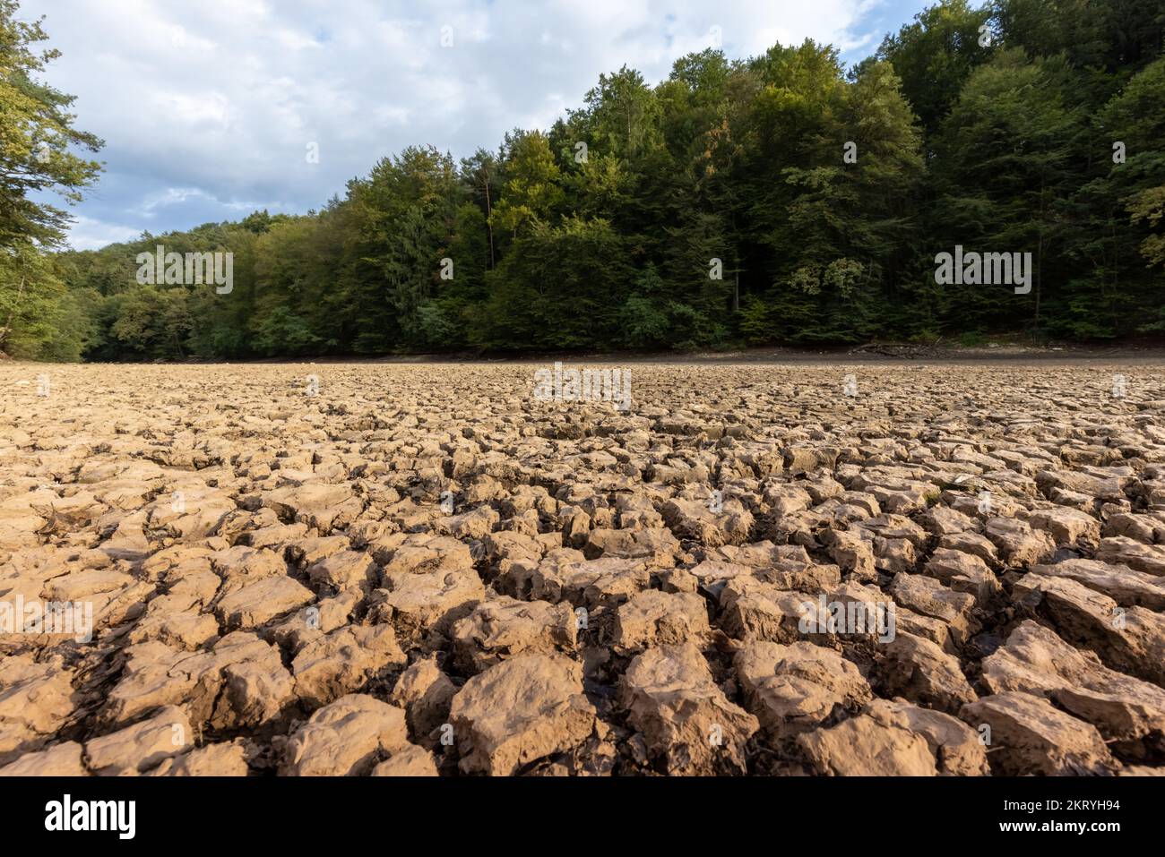 Lit de rivière sec avec boue fissurée en été chaud Banque D'Images