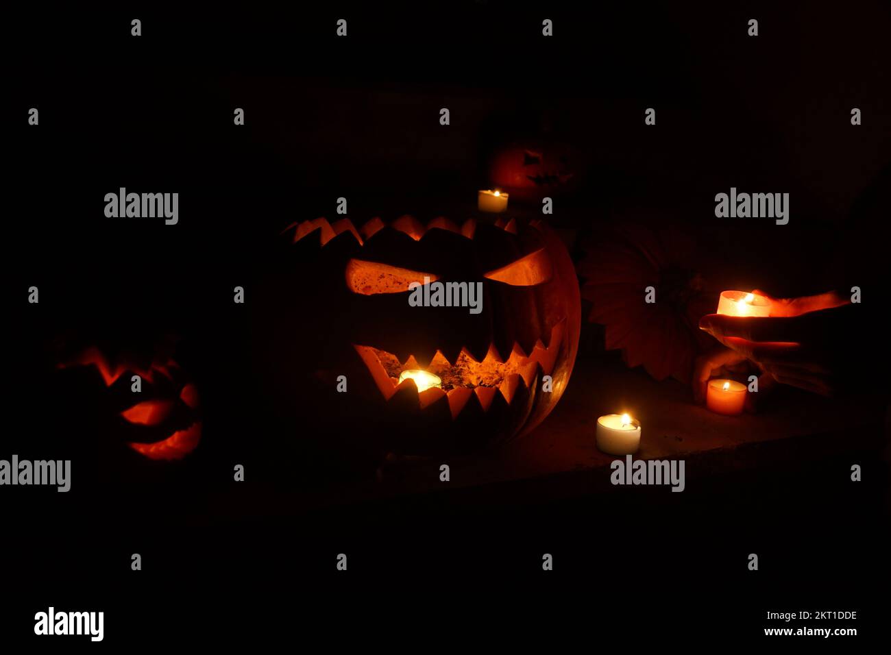 Citrouilles d'halloween sculptées dans l'obscurité Banque D'Images