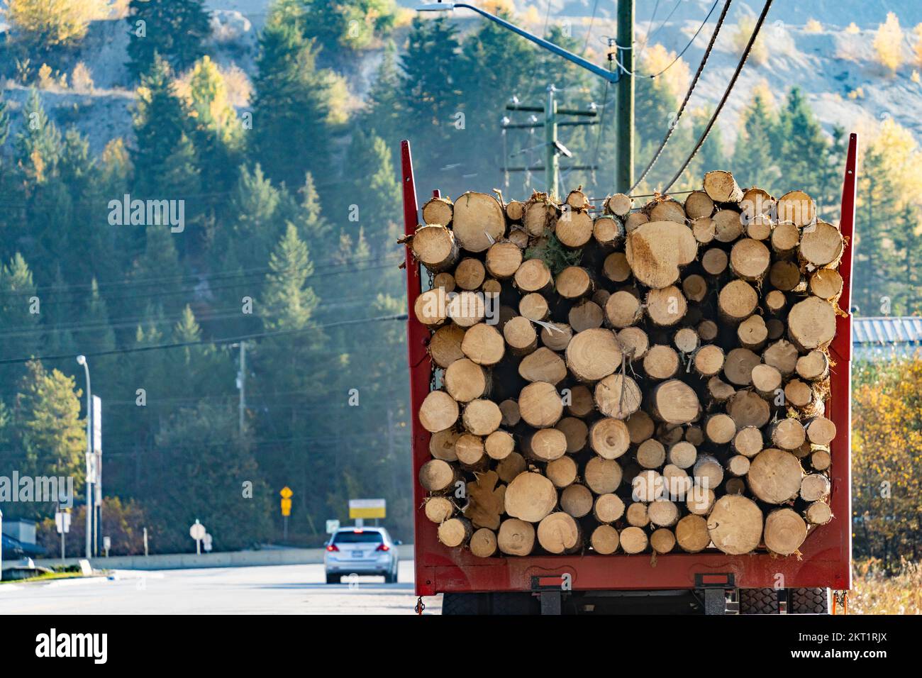 Grumes de bois pour livraison sur camion Banque D'Images