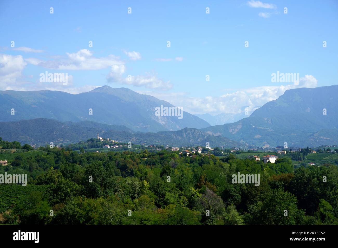 Vignobles le long de la route des vins Prosecco e Conegliano, dans la province de Trévise, Vénétie, Italie, en été. Patrimoine mondial de l'UNESCO Banque D'Images