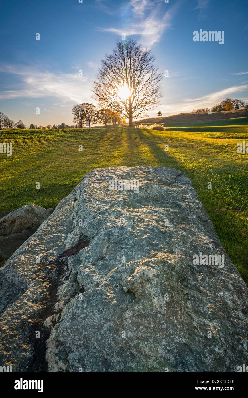Soleil couchant derrière un arbre dans un grand champ avec un gros rocher au premier plan, Pennsylvanie, USA Banque D'Images