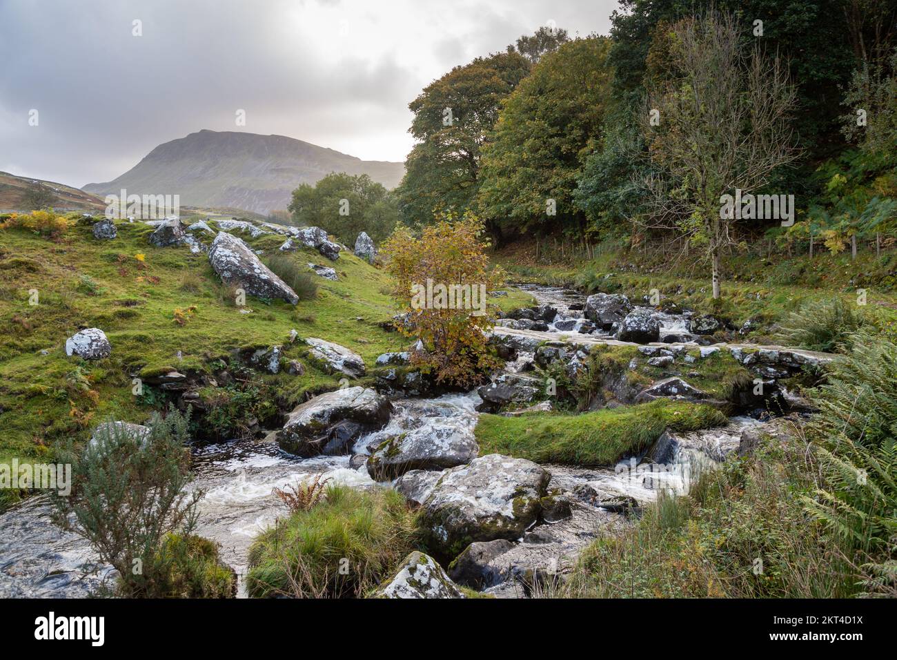 Un beau ruisseau venant des lacs Cregennan, soutenu par le sommet de Bryn Brith, parc national de Snowdonia, Gwynedd, au nord du pays de Galles Banque D'Images