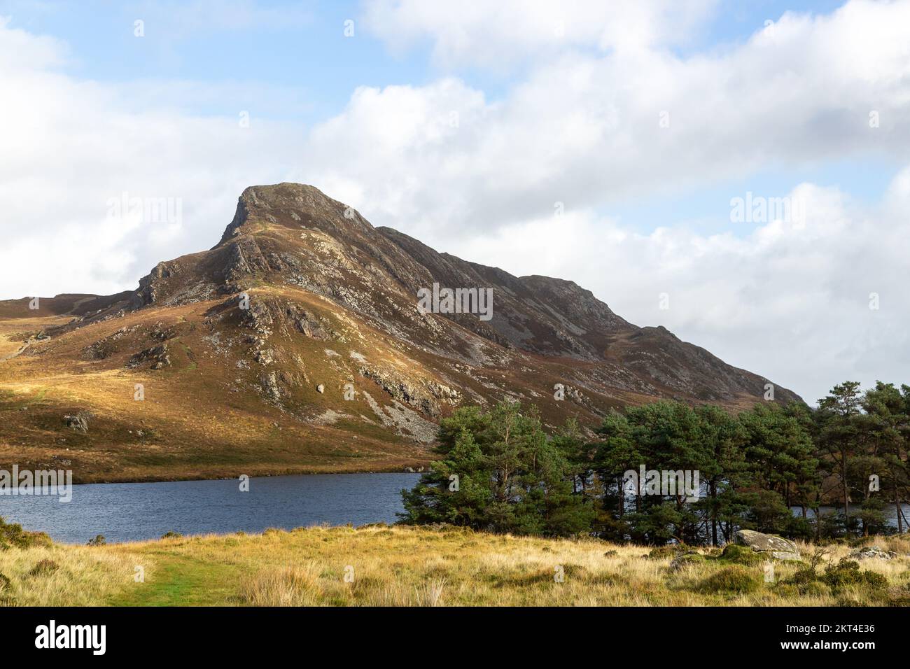Lacs Cregennan soutenus par le sommet de Bryn Brith, parc national de Snowdonia, Gwynedd, pays de Galles du Nord Banque D'Images