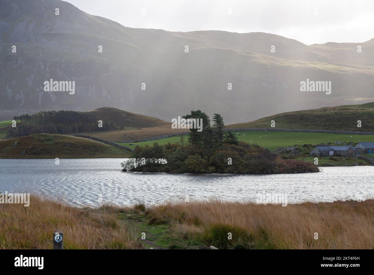 Cregennan Lakes, Snowdonia, pays de Galles, Royaume-Uni Banque D'Images