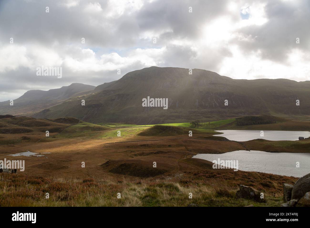 Cadair Idris ou Cader Idris vus de Cregennan Lakes, Snowdonia, pays de Galles, Royaume-Uni Banque D'Images