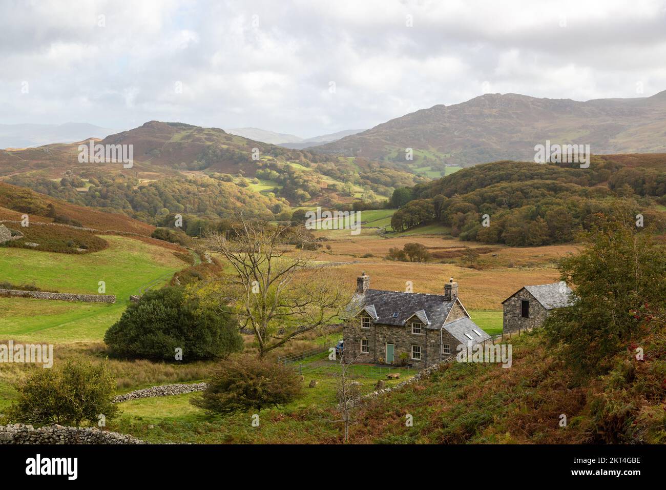 Ferme isolée à Uplands à Ty'n-Llidiart Cregennan, Nr Llynnau, Parc National de Snowdonia, Gwynedd, Pays de Galles Banque D'Images