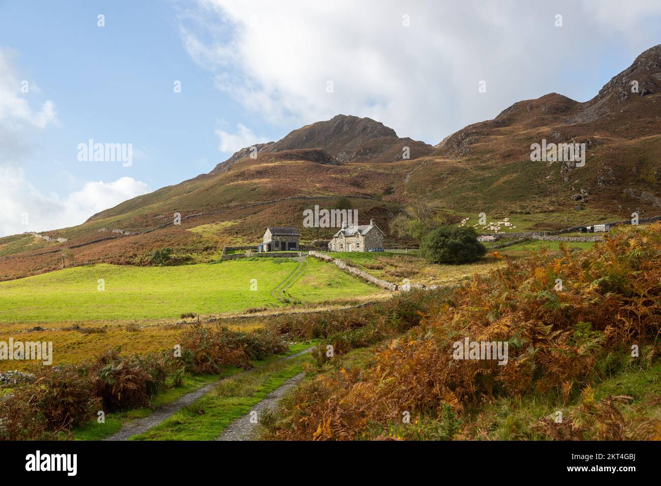 Ferme isolée à Uplands à Ty'n-Llidiart Cregennan, Nr Llynnau, Parc National de Snowdonia, Gwynedd, Pays de Galles Banque D'Images
