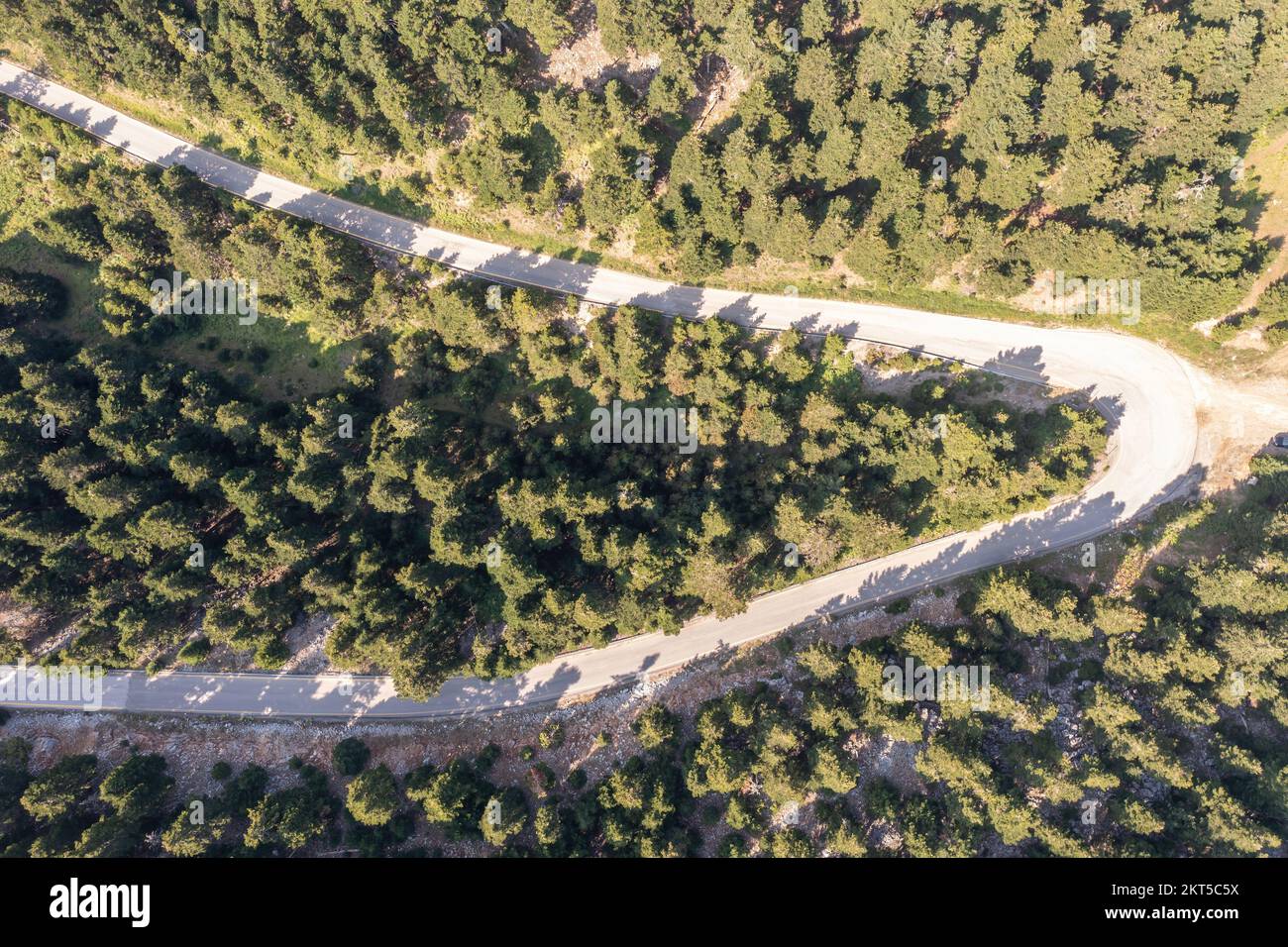 Route sinueuse traversant la forêt de sapins, jour ensoleillé. Vue aérienne de drone. Vider la courbe de la route asphaltée et les épinettes Banque D'Images