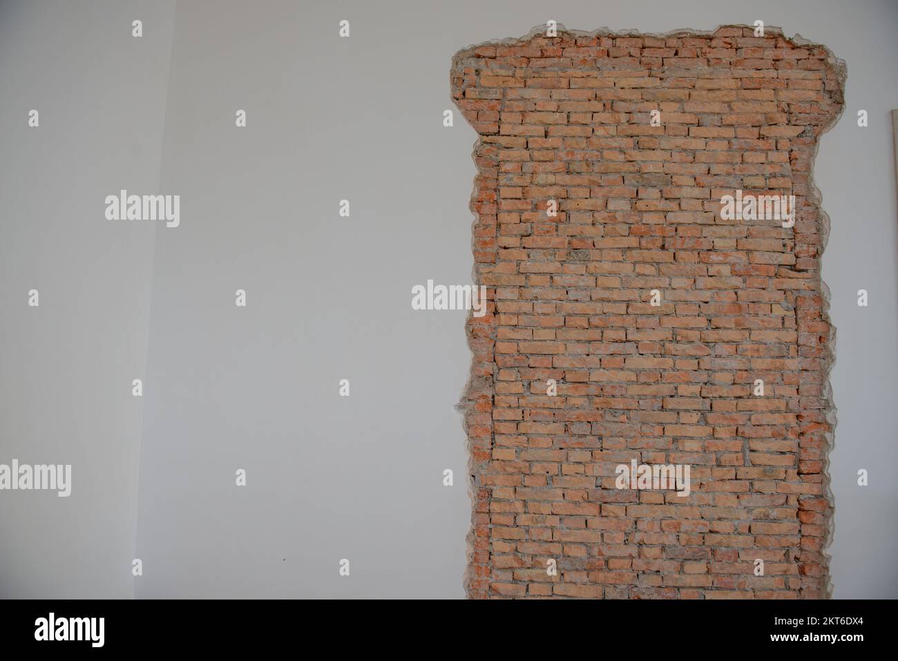 Plâtre avec briques apparentes pendant la rénovation Banque D'Images