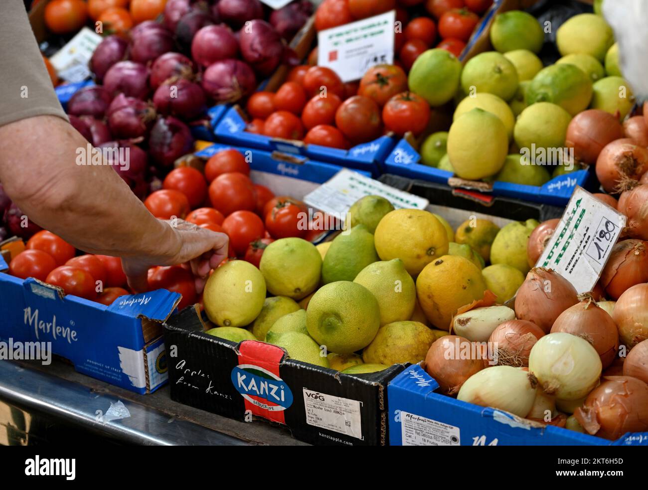 Sélection de fruits dans un présentoir de tomates, citrons, oignons Banque D'Images