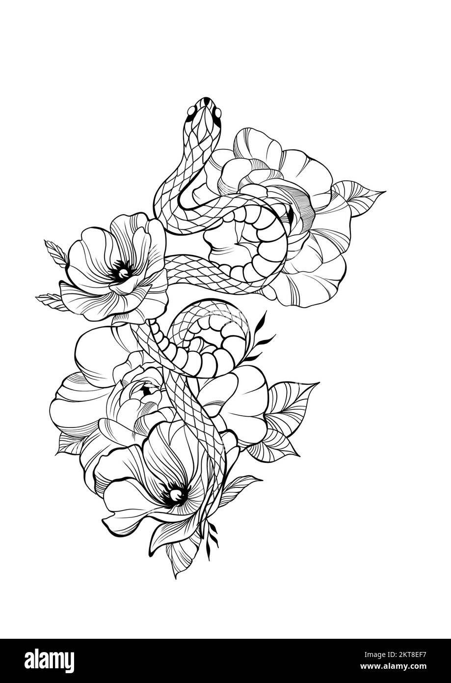Serpent tatouage avec fleurs esquisse détaillée Banque D'Images