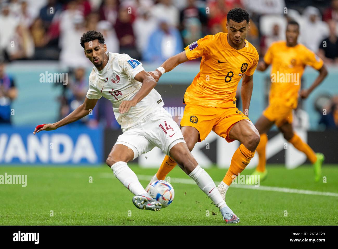 Cody Gakpo des pays-Bas et Homam Ahmed du Qatar lors de la coupe du