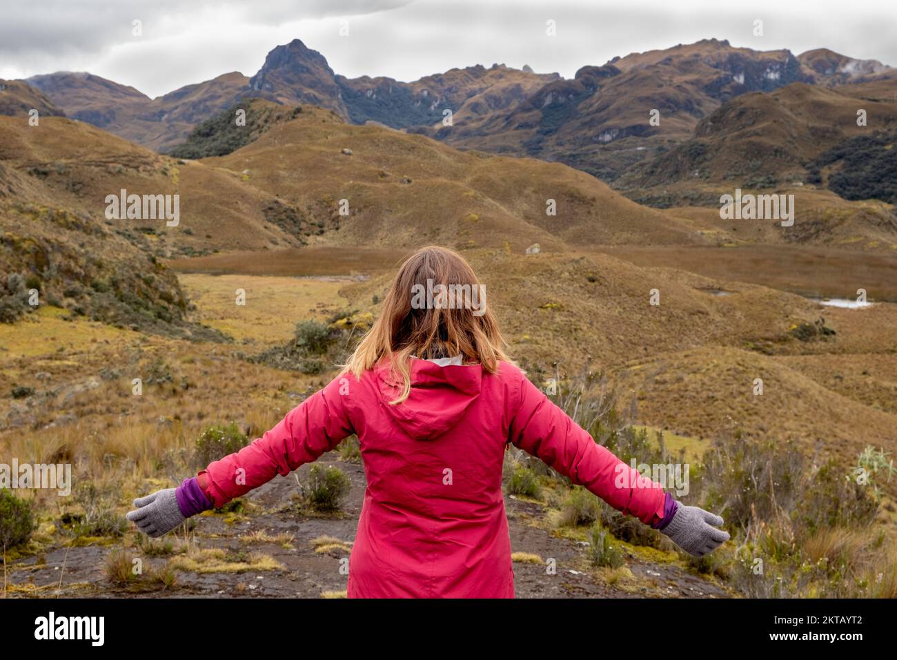 Un randonneur à bras ouverts qui jouit d'un paysage à couper le souffle dans le parc national de cajas, dans les hauts plateaux de l'Equateur, dans les Andes tropicales. Banque D'Images
