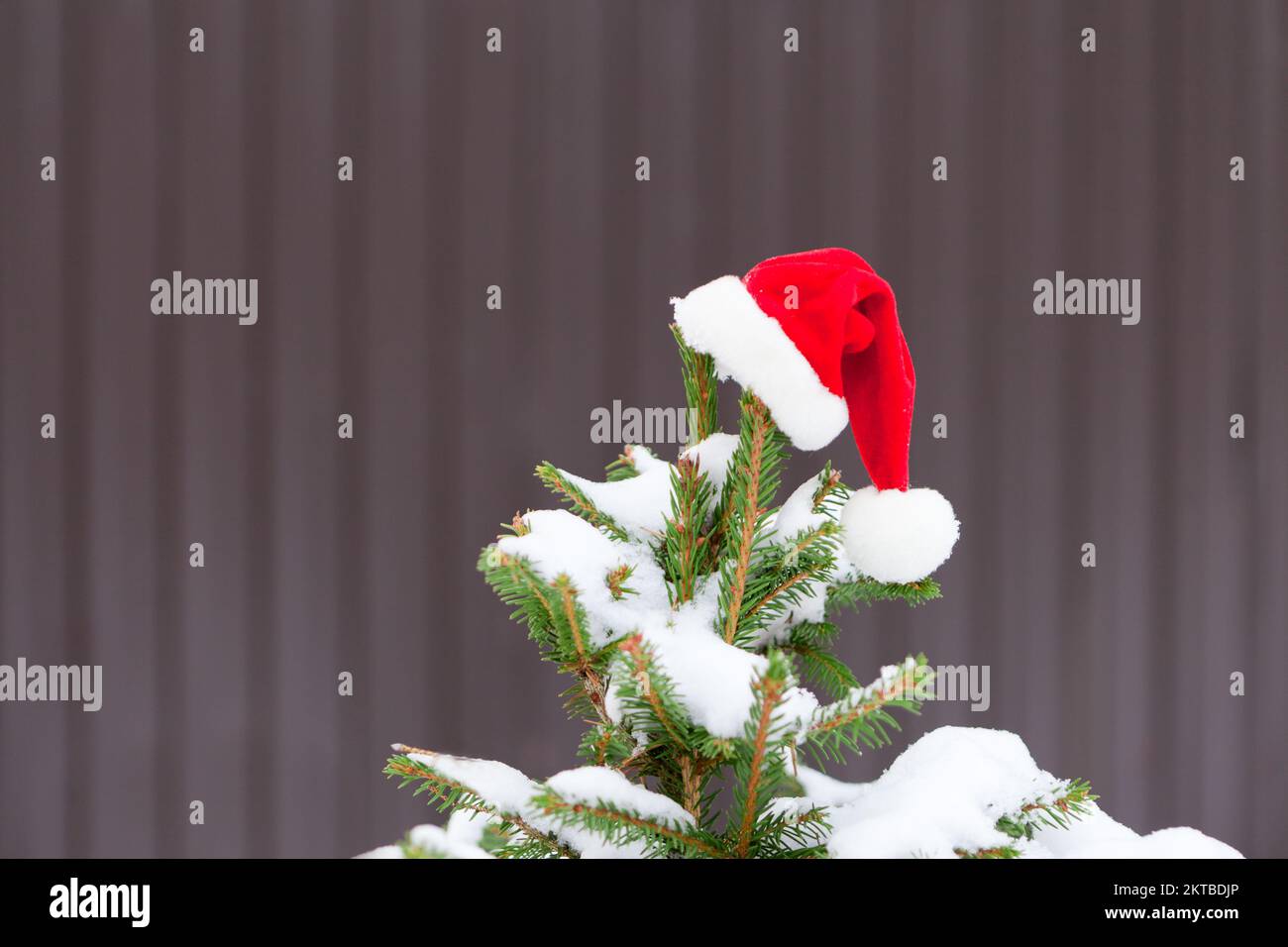 chapeau de père noël rouge sur l'arbre de noël avec neige. chapeau suspendu sur sapin d'hiver recouvert de neige sur fond marron Banque D'Images