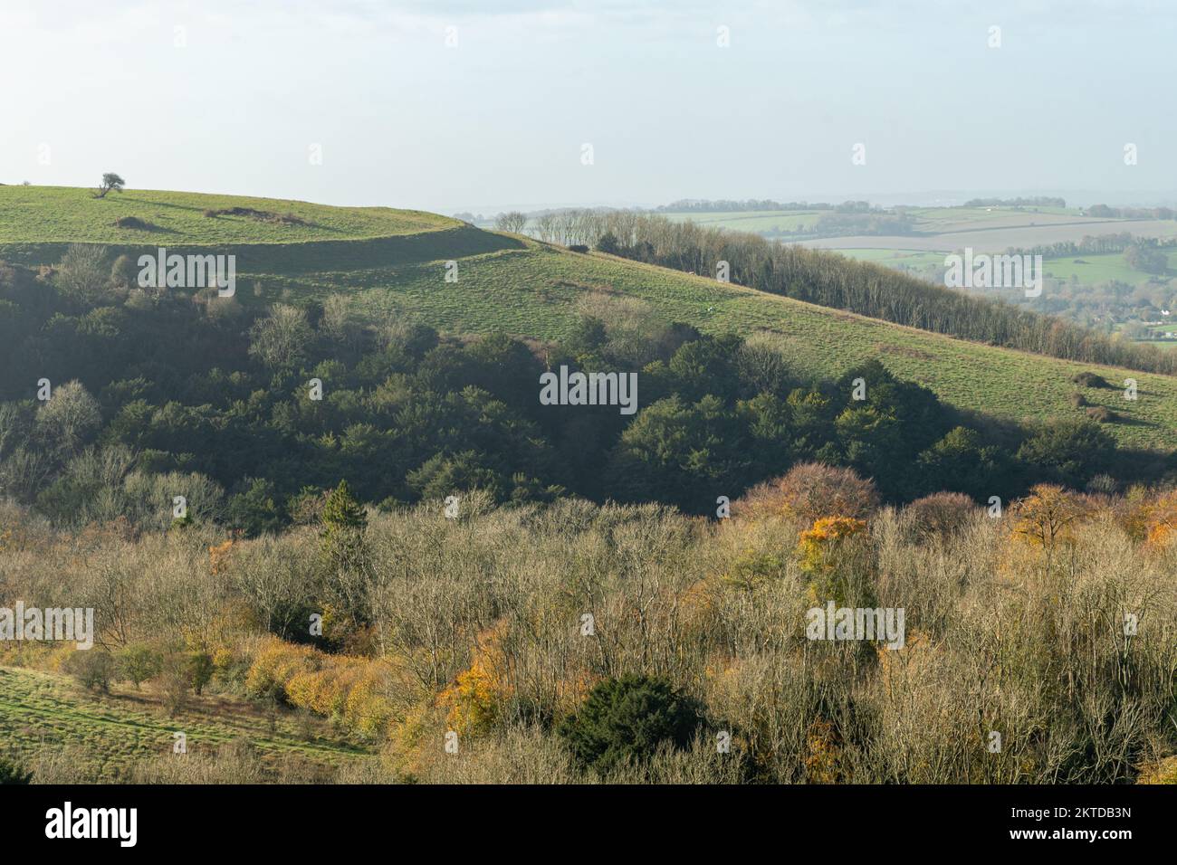 Old Winchester Hill en novembre, vue sur le paysage d'automne de la SSSI dans le parc national de South Downs, Hampshire, Angleterre, Royaume-Uni Banque D'Images