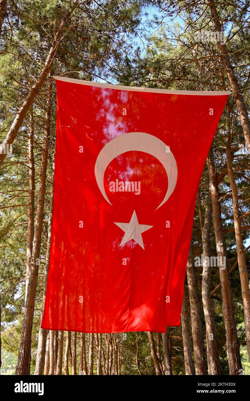 Grand drapeau turc suspendu d'une avenue d'arbres. Personne. Banque D'Images