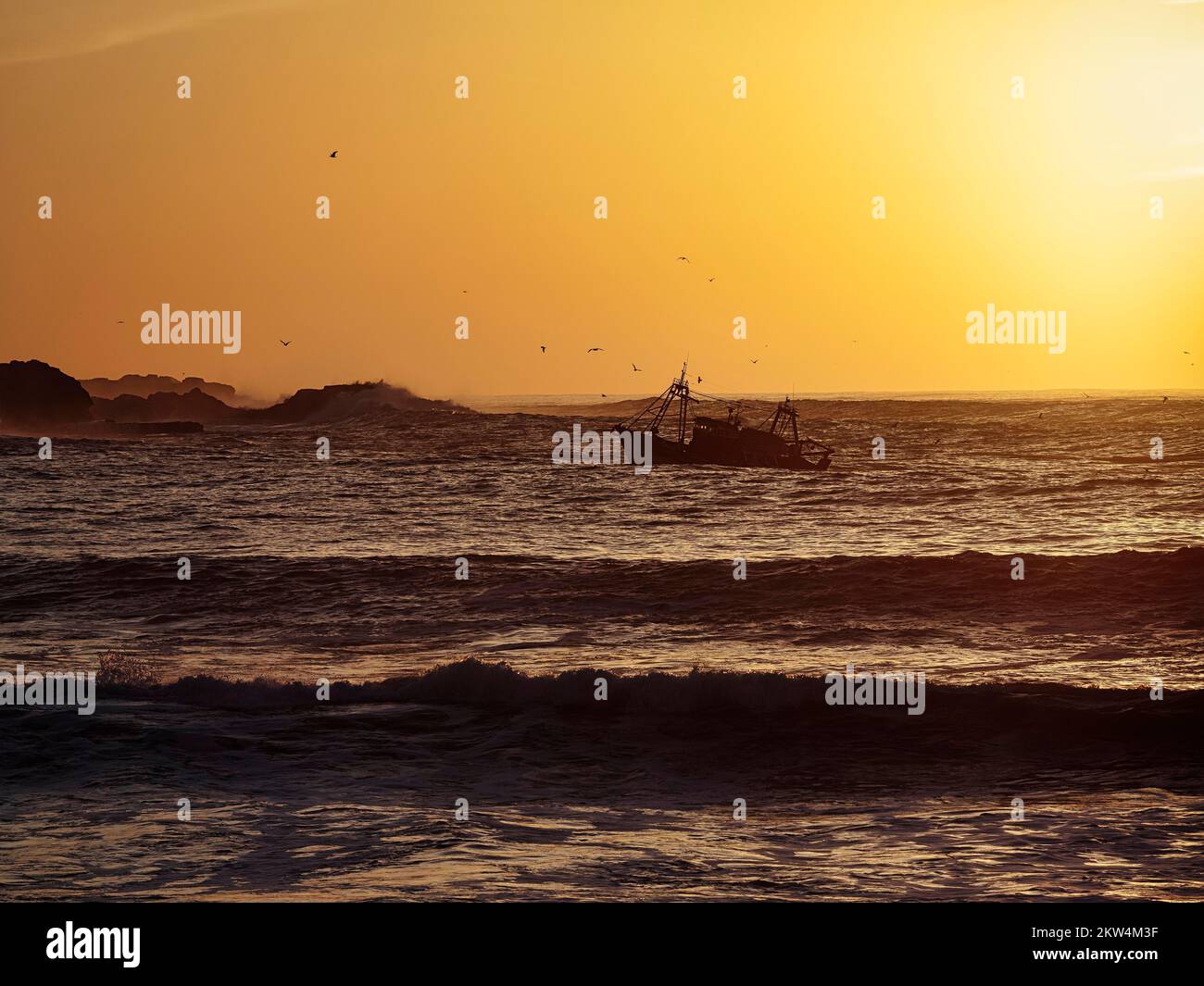 Bateau de pêche avec mouettes, coucher de soleil, contre-jour, Océan Atlantique, Essaouira, Marrakech-Safi, Maroc, Afrique Banque D'Images