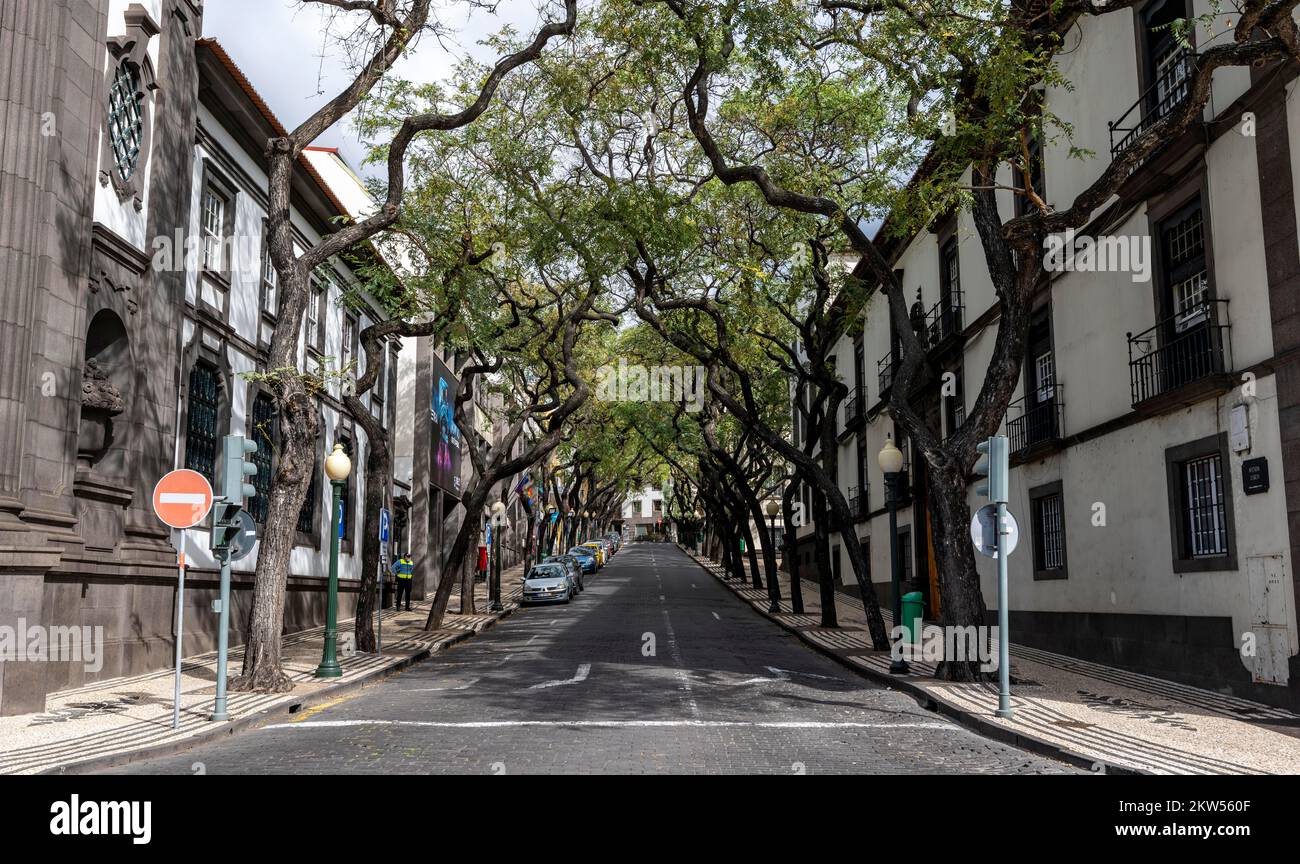 Avenue Avenida Zarco, Funchal, Madère, Portugal, Europe Banque D'Images