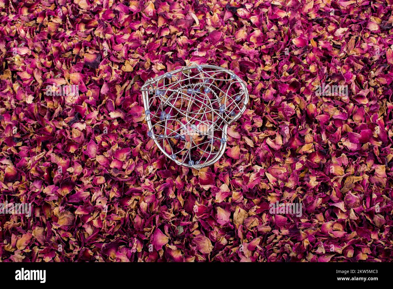 Cage en forme de coeur placé sur les pétales de rose Banque D'Images