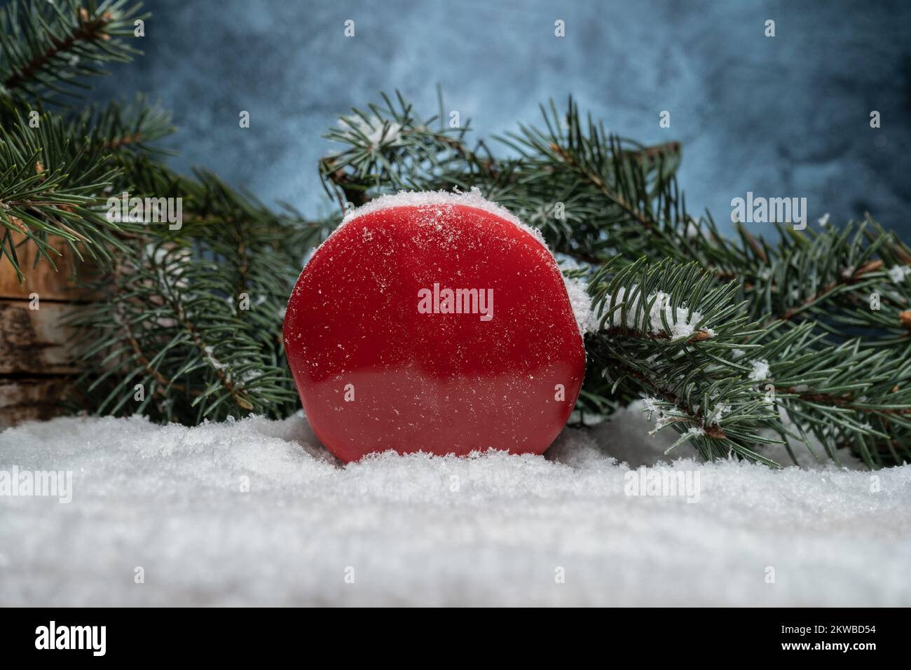 Haltère rouge et branches d'arbre de Noël sur une neige blanche. Fitness vacances saison hiver composition. Entraînement sportif, concept d'entraînement par temps froid. Banque D'Images