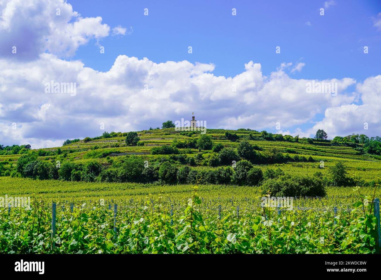 Tour drapeau près de Bad Dürkheim avec paysage environnant. Tour sur une colline avec vignes en premier plan. Banque D'Images