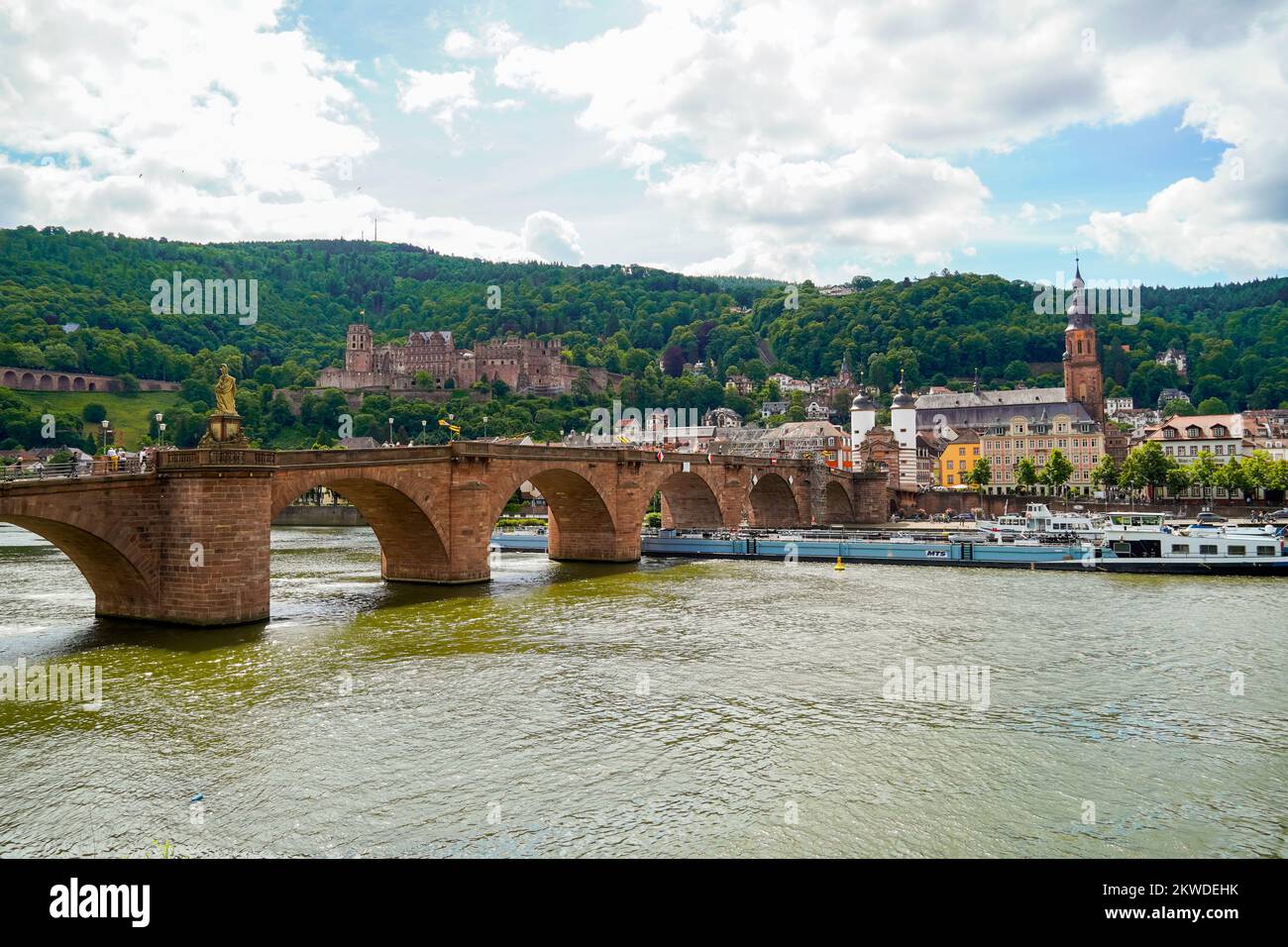 Vue sur Heidelberg avec le château et le vieux pont sur le Neckar. Banque D'Images
