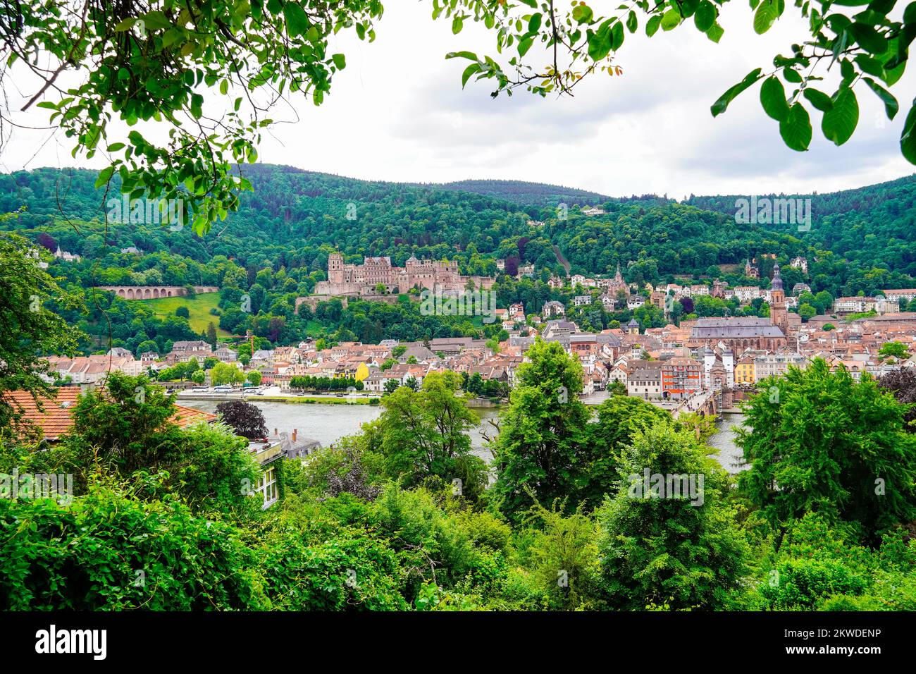 Vue sur Heidelberg avec le paysage vallonné et le Neckar. Banque D'Images