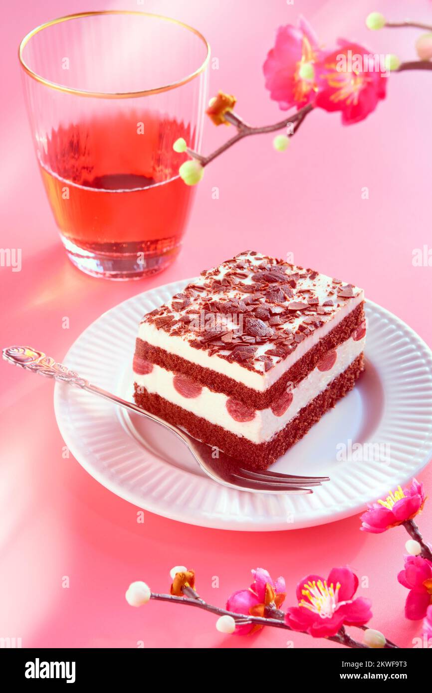 Gâteau au chocolat avec cerises aigres. Morceau de gâteau sur une assiette avec fourchette. Dessert doux sur fond rose avec fleurs de prune d'hiver, fleur rose Banque D'Images