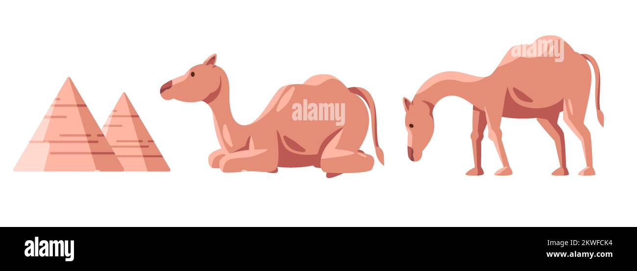 Dos de chameau couché debout en mangeant animal arabe de la pyramide du Moyen-Orient africain de l'égypte Illustration de Vecteur