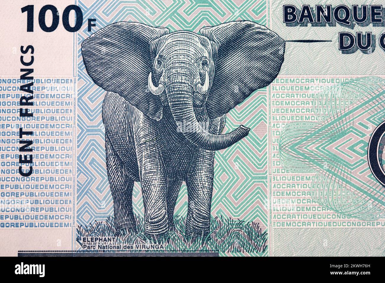 Éléphant de l'argent congolais - franc Banque D'Images