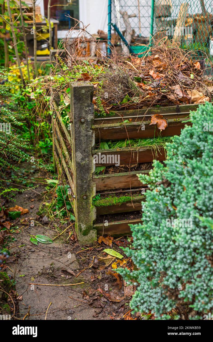 Composter bin dans le jardin - recyclage des déchets de jardin et de cuisine Banque D'Images