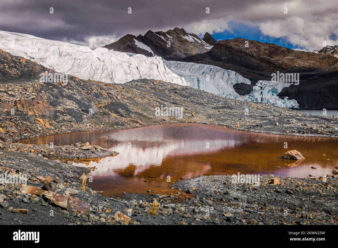 Glacier Pastoruri, Cordillera Blanca, Andes enneigées, Ancash, Pérou Banque D'Images