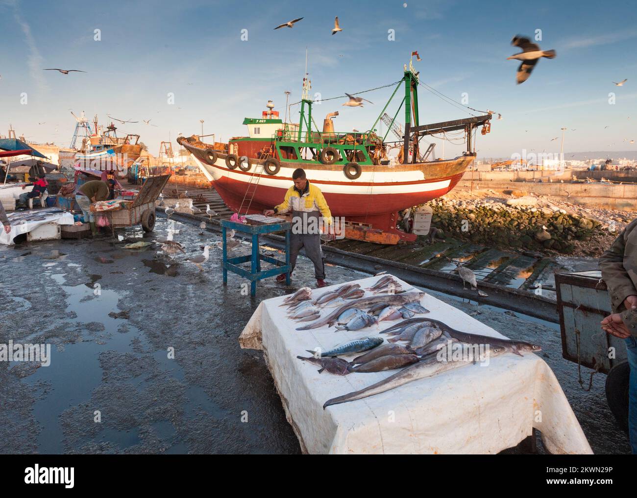 Bateau de pêche au port d'Essaouira, Maroc Banque D'Images