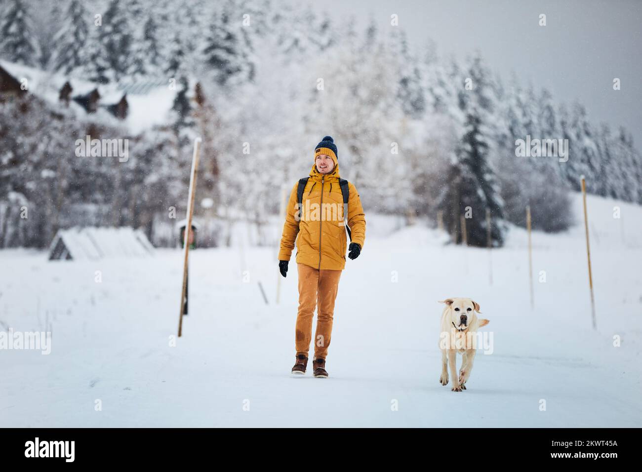 Homme avec chien pendant la journée d'hiver. Le propriétaire d'un animal de compagnie marchant sur une route enneigée avec son adorable labrador retriever. Banque D'Images