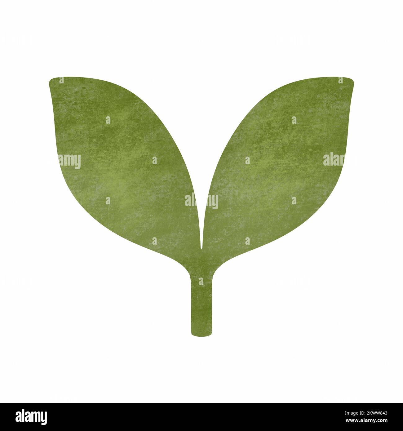 Symbole du ressort. Jeunes en pleine croissance. Illustration texturée dessinée à la main du sprout. Banque D'Images