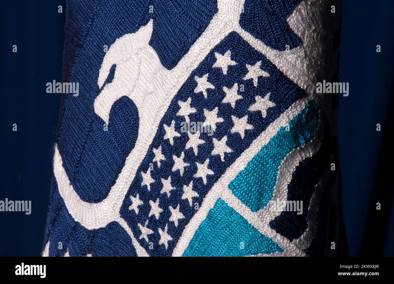 Washington, DC, 8 décembre 2006 drapeau DHS détail de l'aigle, dans le studio FEMA. Bill Koplitz/FEMA... Photographies relatives aux programmes, aux activités et aux fonctionnaires de gestion des catastrophes et des situations d'urgence Banque D'Images