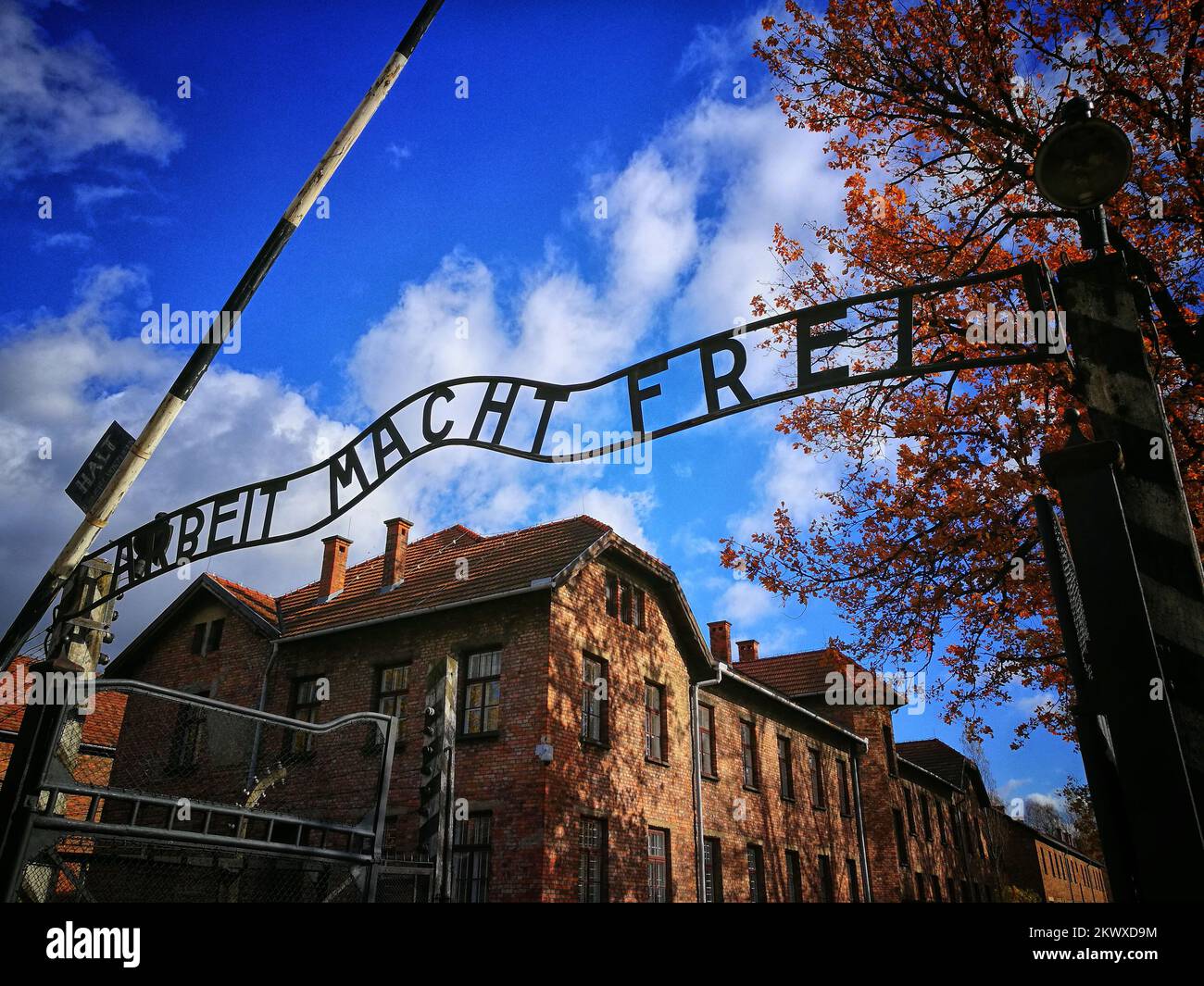 Camp de concentration d'Auschwitz, un réseau de camps de concentration allemands nazis et de camps d'extermination construits et exploités par le troisième Reich dans les zones polonaises annexées par l'Allemagne nazie pendant la Seconde Guerre mondiale Auschwitz I a été construit pour accueillir des prisonniers politiques polonais, qui ont commencé à arriver en mai 1940. La première extermination de prisonniers a eu lieu en septembre 1941, et Auschwitz II–Birkenau est devenu un site majeur de la solution finale nazie à la question juive. Au moins 1,1 millions de prisonniers sont morts à Auschwitz, dont environ 90 pour cent sont juifs; environ 1 juifs sur 6 ont été tués dans le Banque D'Images