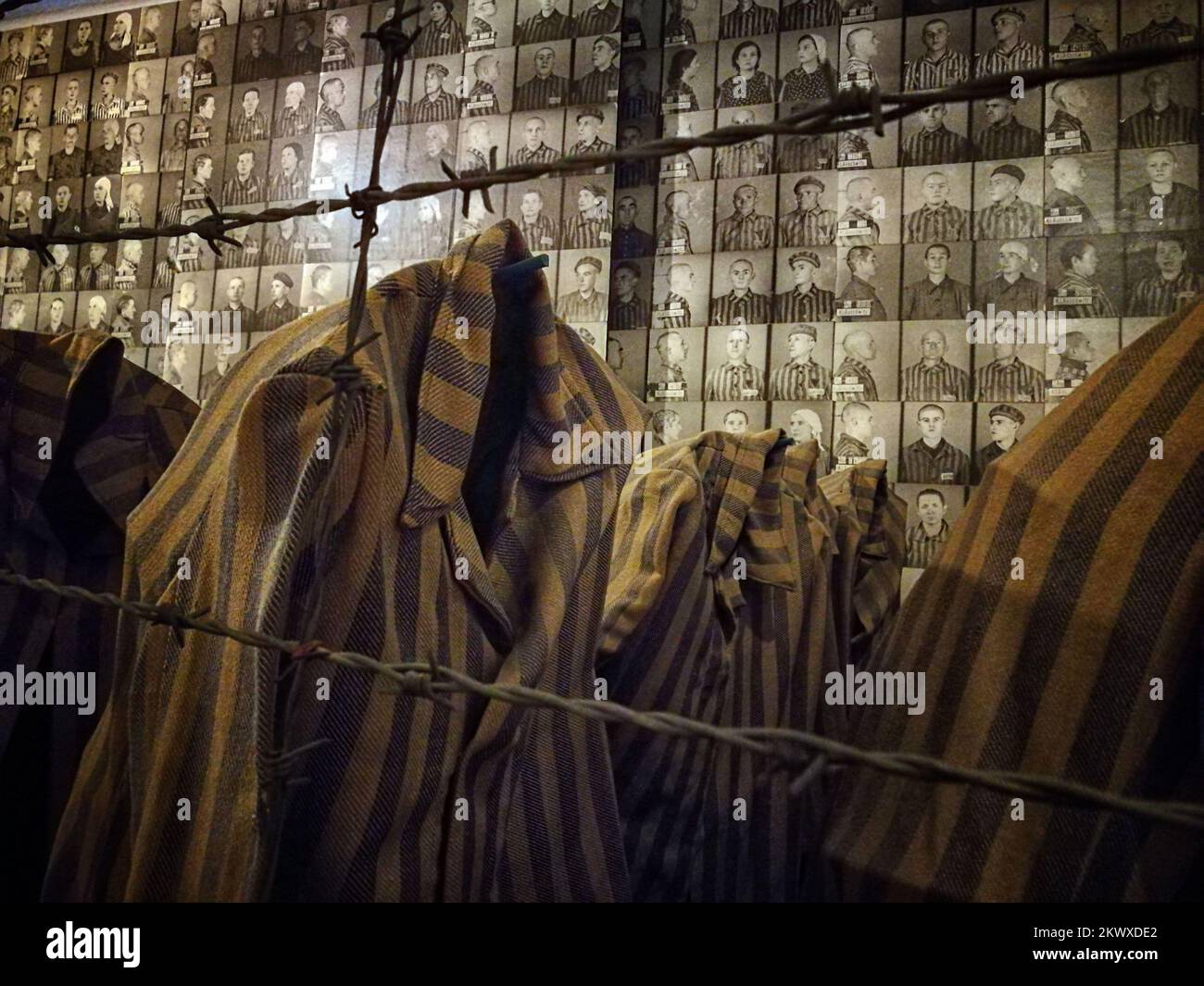 Camp de concentration d'Auschwitz, un réseau de camps de concentration allemands nazis et de camps d'extermination construits et exploités par le troisième Reich dans les zones polonaises annexées par l'Allemagne nazie pendant la Seconde Guerre mondiale Auschwitz I a été construit pour accueillir des prisonniers politiques polonais, qui ont commencé à arriver en mai 1940. La première extermination de prisonniers a eu lieu en septembre 1941, et Auschwitz II–Birkenau est devenu un site majeur de la solution finale nazie à la question juive. Au moins 1,1 millions de prisonniers sont morts à Auschwitz, dont environ 90 pour cent sont juifs; environ 1 juifs sur 6 ont été tués dans le Banque D'Images