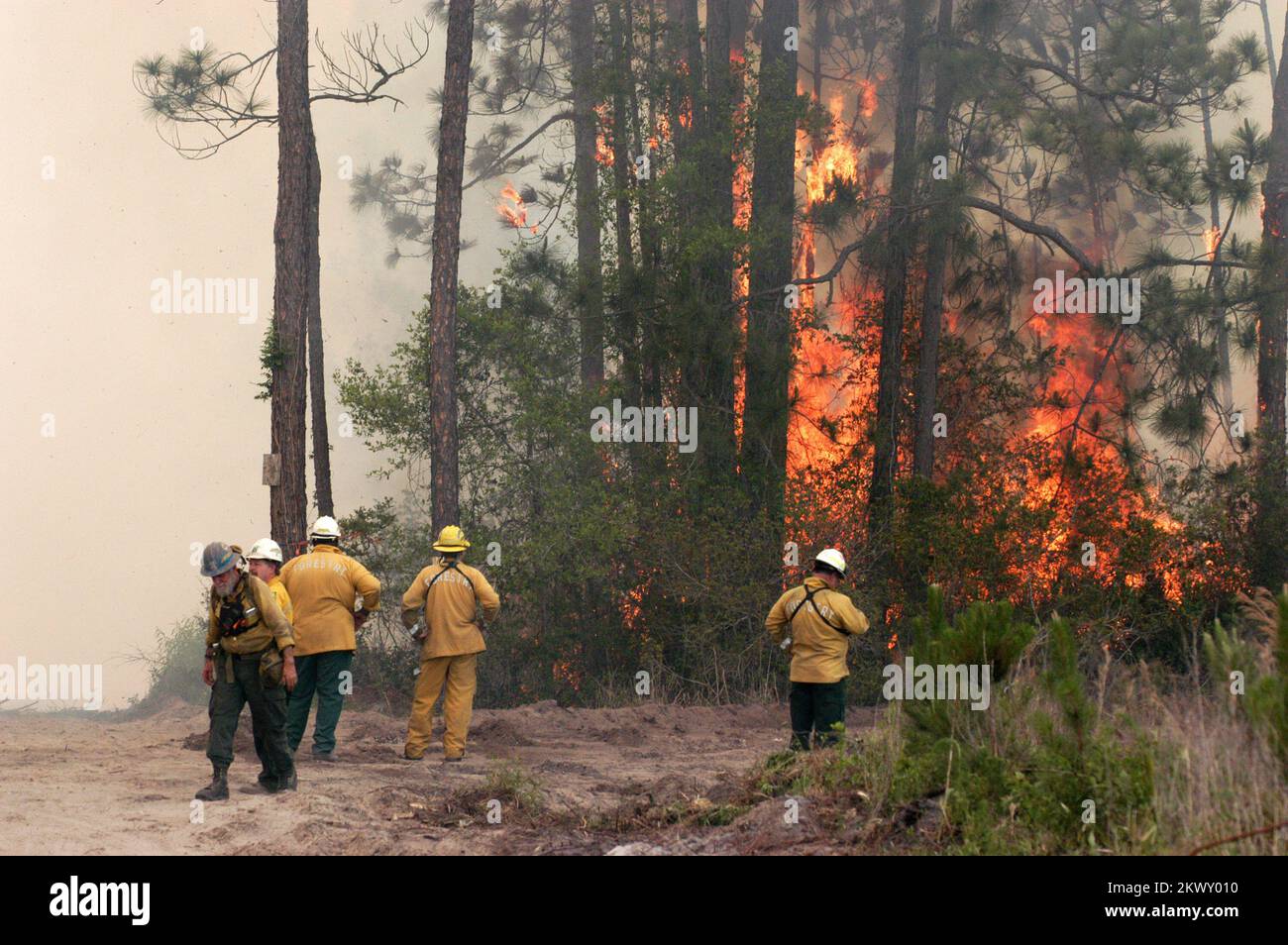 Lake City, FL, 15 mai 2007 les pompiers regardent comme une zone de rage hors de contrôle sur le chemin Fairview. Les efforts pour éteindre le feu Bugaboo de Floride continuent. États-Unis Ministère de la sécurité intérieure┬Æs l'Agence fédérale de gestion des urgences (FEMA) a autorisé 5 subventions d'aide à la gestion des incendies entre 27 mars et 10 mai 2007, pour aider la Floride à combattre les incendies dans 16 comtés. Mark Wolfe/FEMA... Photographies relatives aux programmes, aux activités et aux fonctionnaires de gestion des catastrophes et des situations d'urgence Banque D'Images
