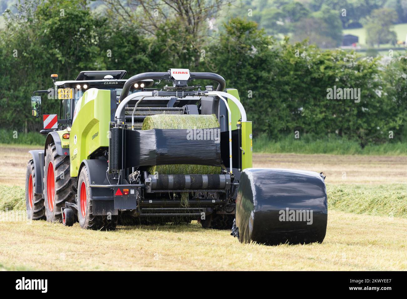 Réalisation de balles rondes d'ensilage à l'aide d'une presse à balles à une passe Claas 5300rc Quadrant tractée par un tracteur Claas Axion 950. Dumfries, Écosse, Royaume-Uni. Banque D'Images