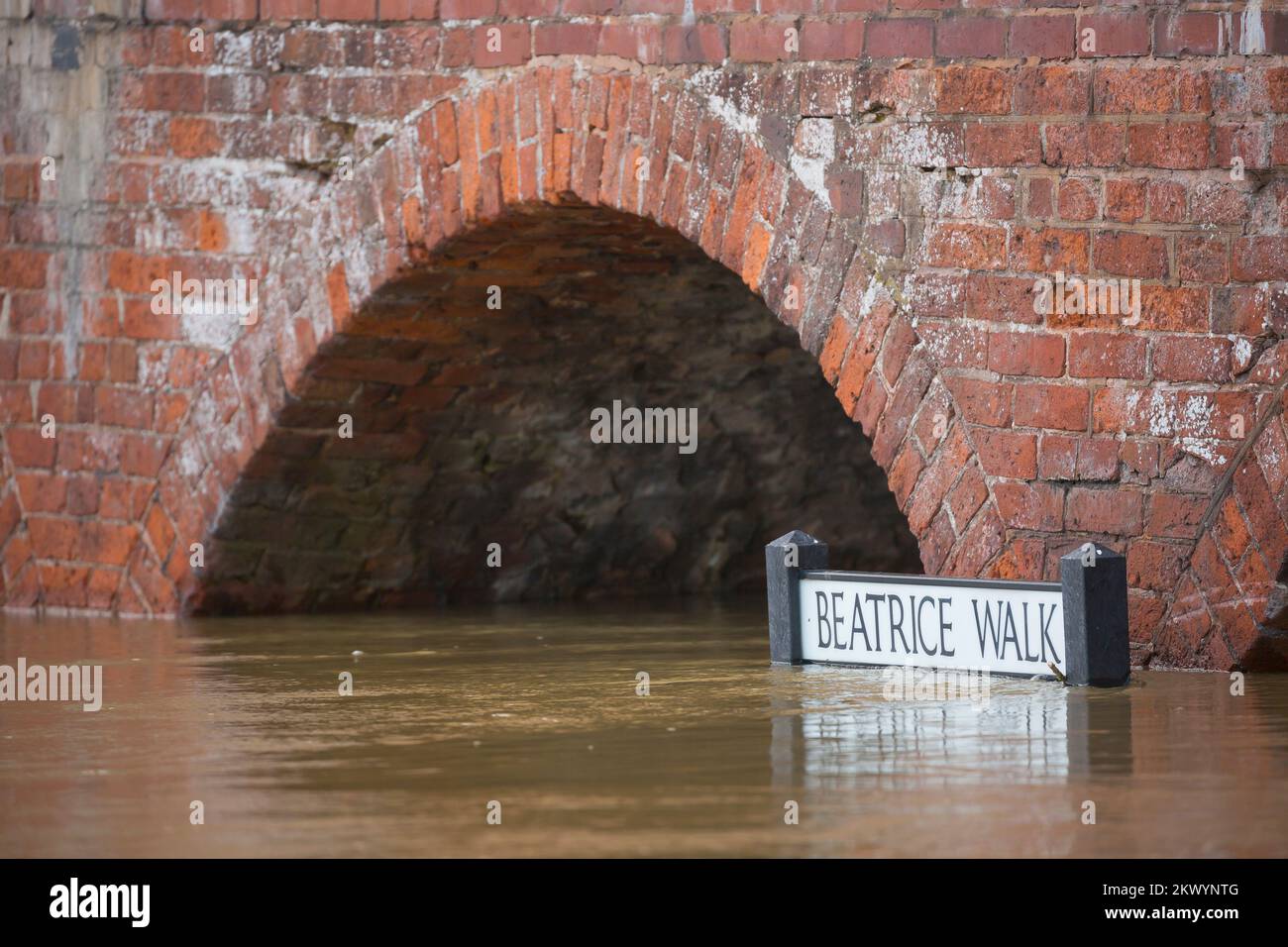 Panneau routier Beatrice Walk submergé dans les eaux de crue de la rivière Severn au pont de Bewdley, Worcestershire, Royaume-Uni. Banque D'Images