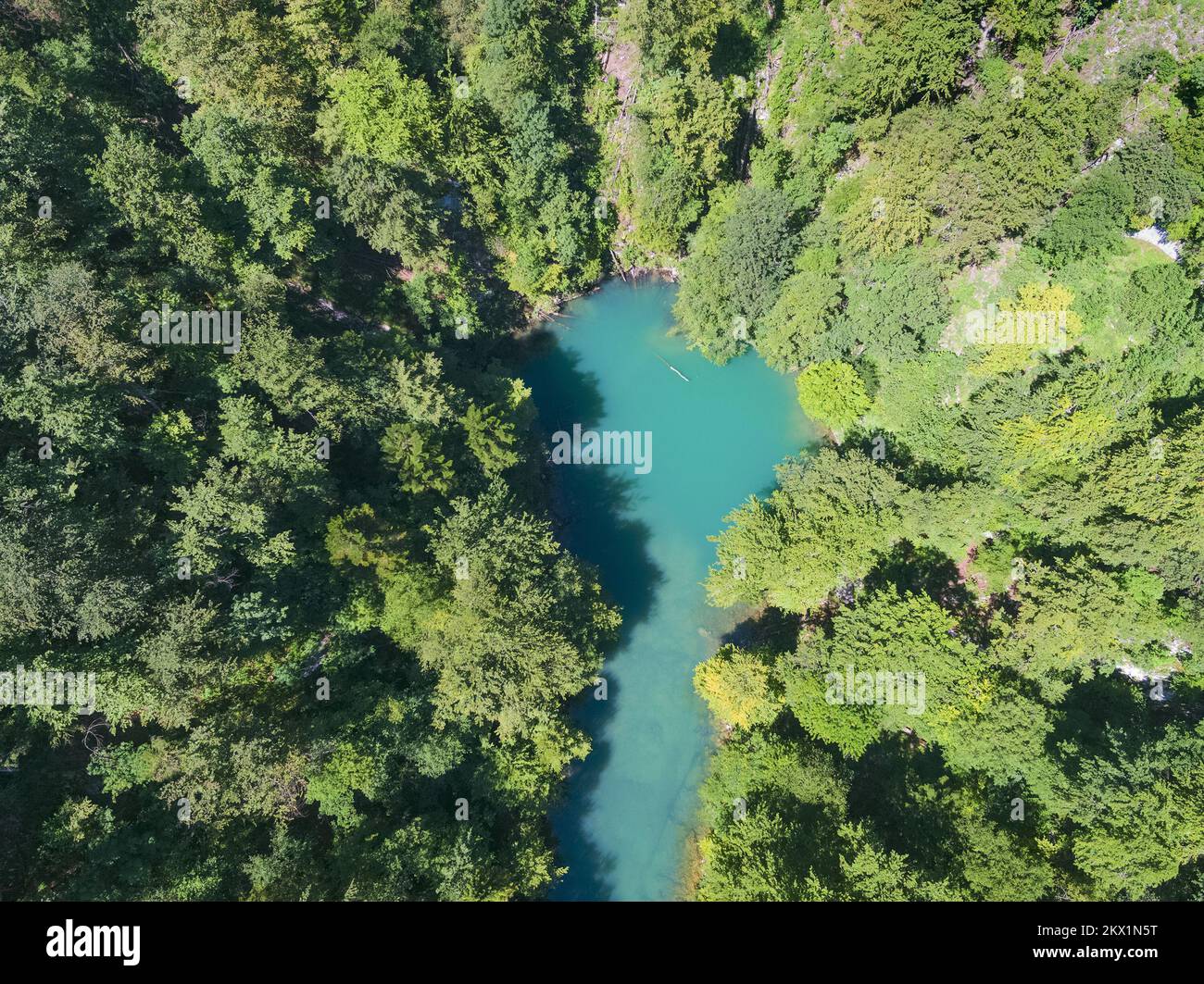 18.07.2017., Razloge, Croatie - l'impressionnante source de Kupa est située dans le Gorski Kotar. Photo: Goran Safarek/HaloPix/PIXSELL Banque D'Images