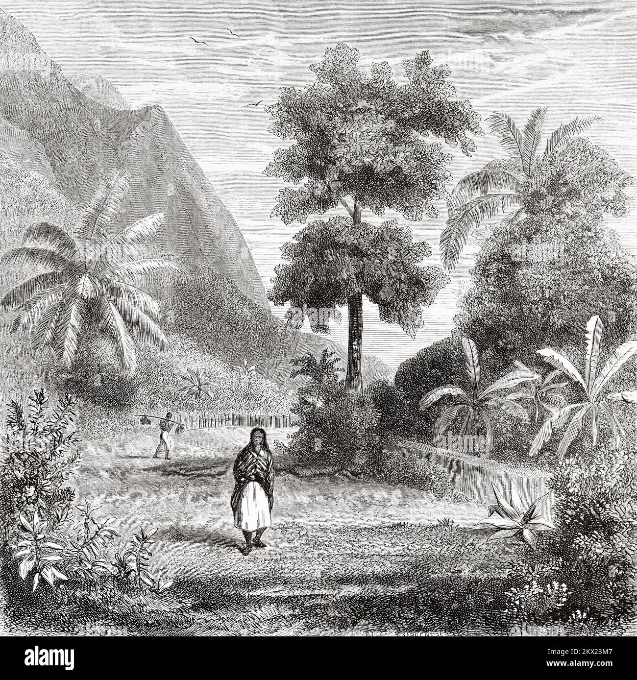 Route à l'intérieur de Tahiti, Polynésie française. Les voyages d'Ida Pfeiffer 1857 Banque D'Images