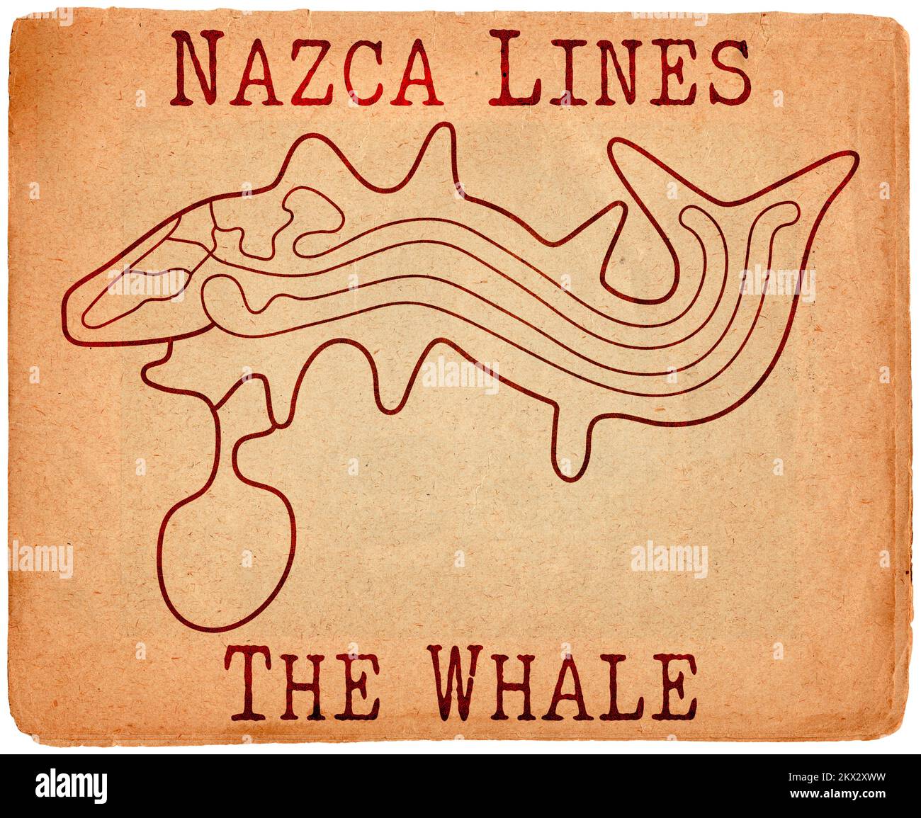 Geoglyphe de la baleine de Nazca, les lignes de Nazca, désert de Nazca, Pérou Banque D'Images