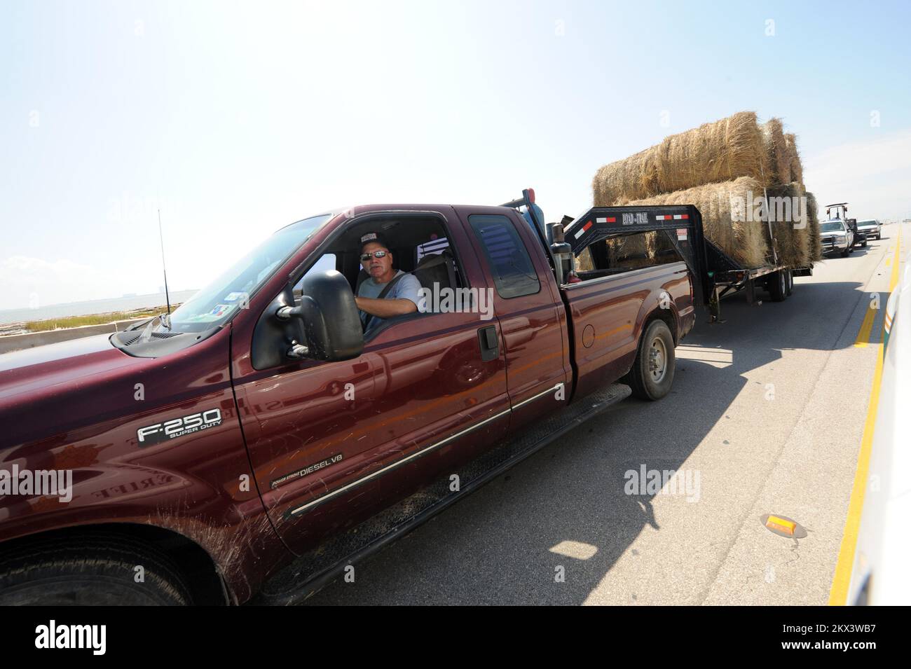 Ouragan Ike, péninsule bolivarienne, TX, 20 septembre 2008 Phillip Alexander, de l'Association des éleveurs du comté de Galveston, conduit un camion de foin sur un camion à plateau pour nourrir les bovins déplacés par l'ouragan Ike. De la nourriture et de l'eau douce sont ramenés à l'île pour aider les bovins. Photographies relatives aux programmes, aux activités et aux fonctionnaires de gestion des catastrophes et des situations d'urgence Banque D'Images