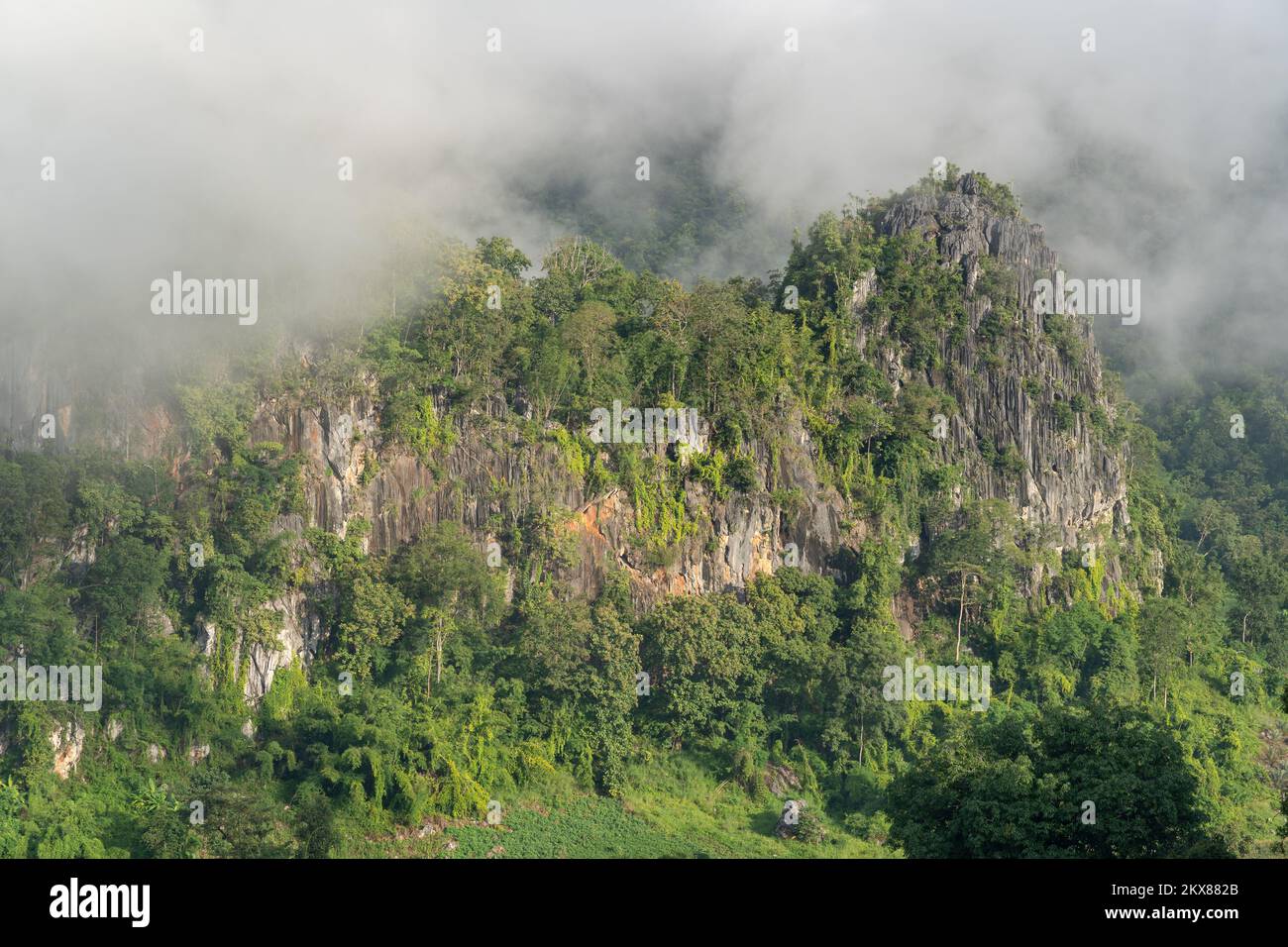 Vue panoramique matinale sur la montagne calcaire avec fond de forêt dans la vallée rurale sous les nuages bas dans la campagne de Chiang Dao, Chiang Mai, Thaïlande Banque D'Images