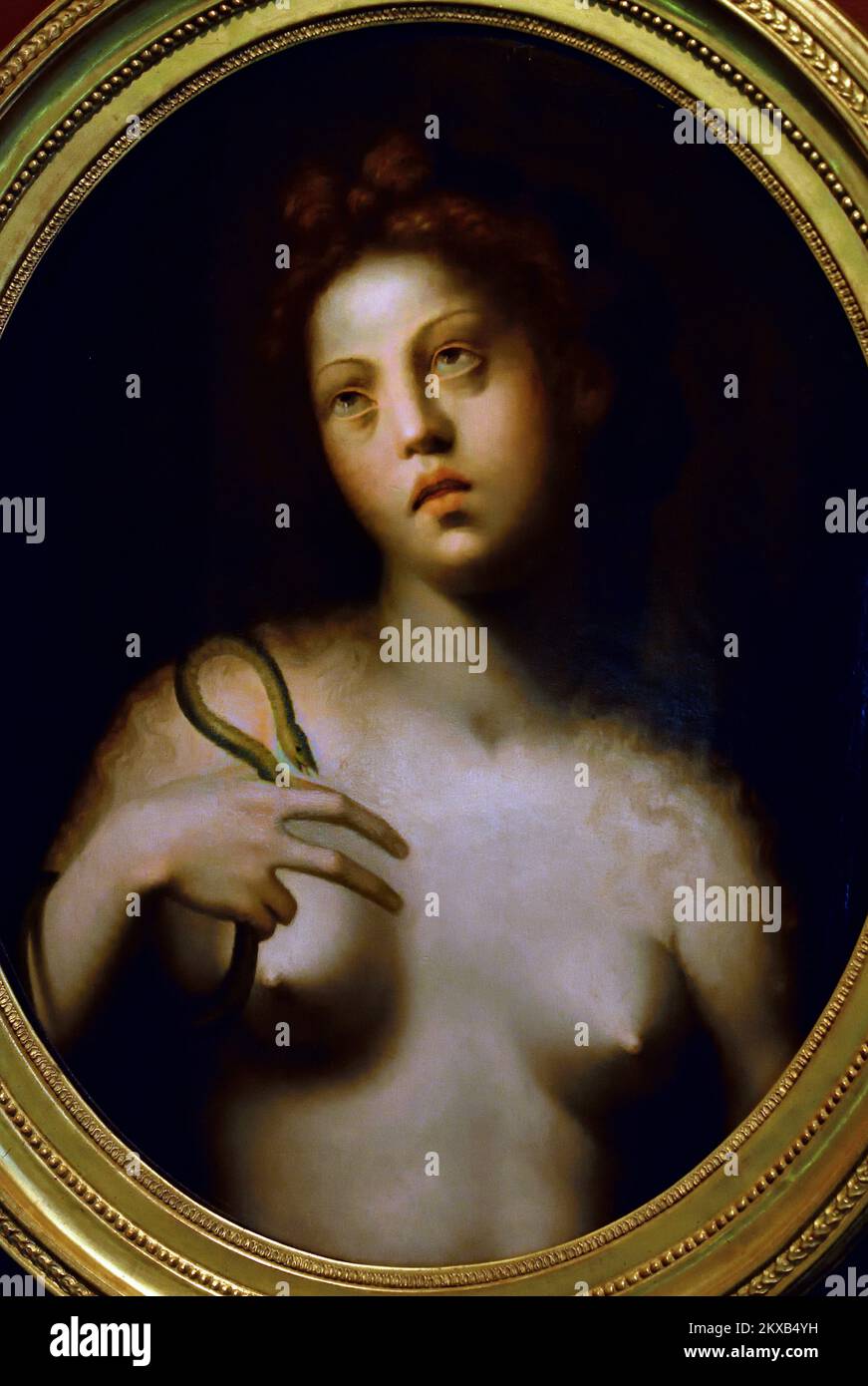 Cleopatra étant mordu par an, asp par PULIGO Domenico, Florence, 1492 - 1527, Italie, italien, Son fondateur, Ptolémée i Soter, général grec macédonien et compagnon d'Alexandre le Grand. Banque D'Images