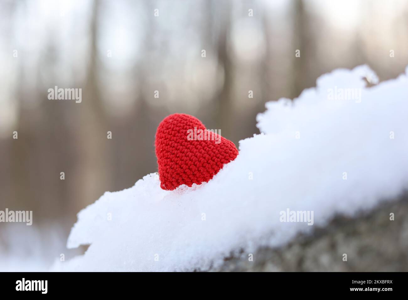 Amour coeur dans la neige sur branche d'arbre, carte de Saint-Valentin. Toile de fond pour un événement romantique, une fête de Noël ou le temps d'hiver Banque D'Images