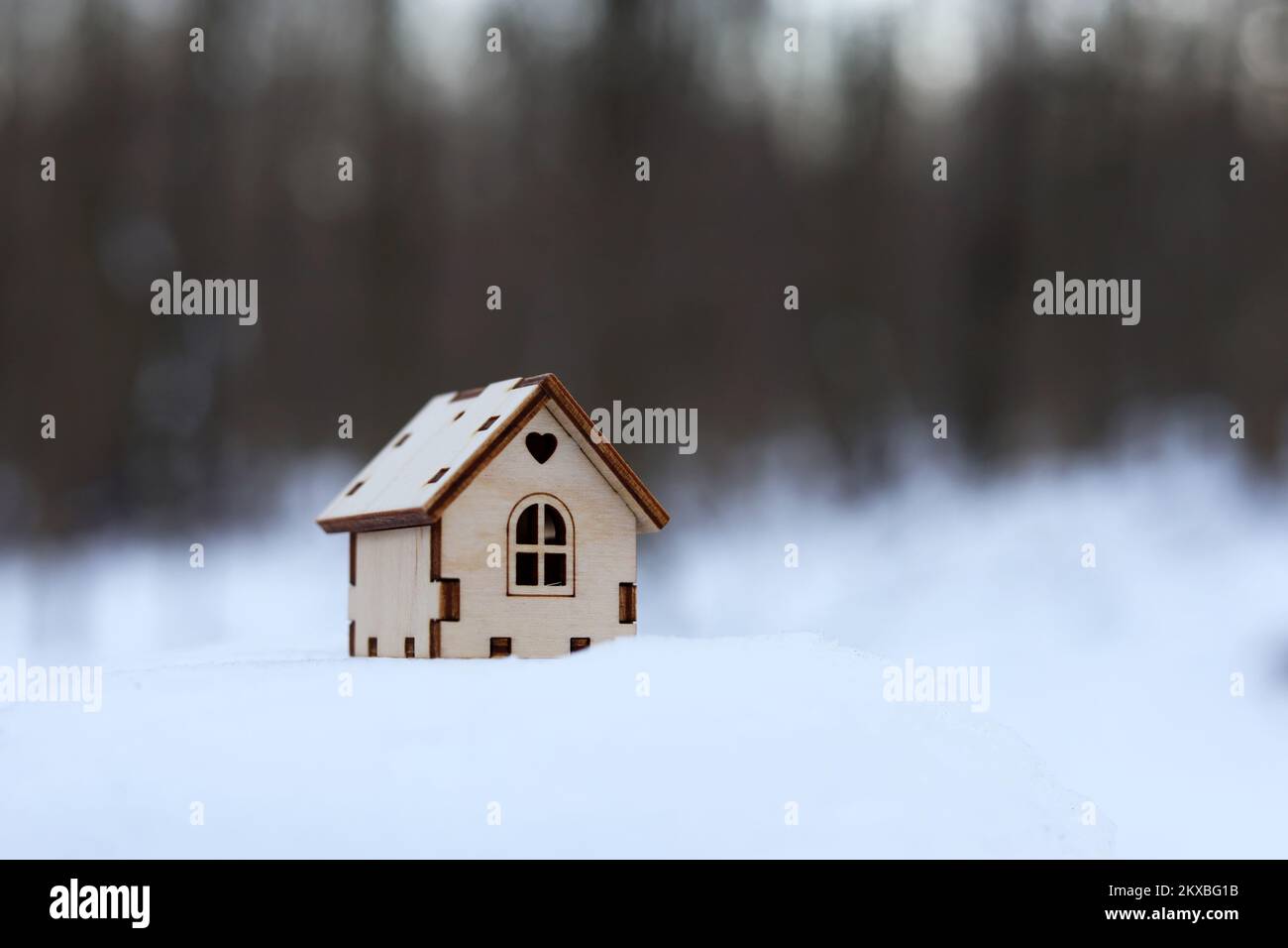 Modèle de maison en bois dans une neige sur fond de forêt d'hiver.Concept de chalet de campagne, immobilier dans zone écologiquement propre Banque D'Images
