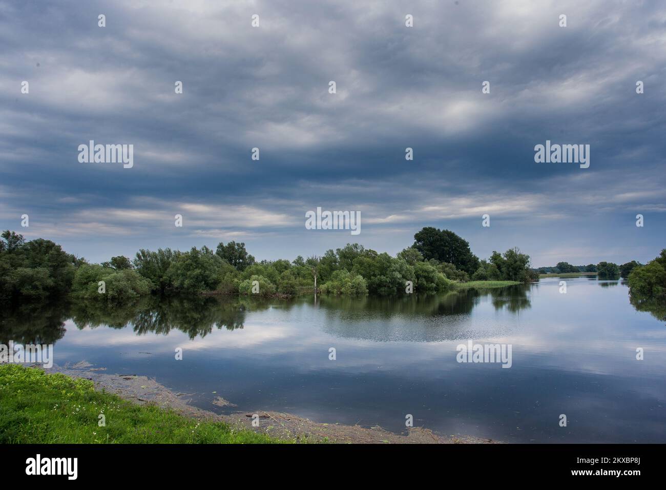 06.06.2019., Kopacki rit - Kopacki Rit est un parc naturel dans l'est de la Croatie, situé entre les fleuves Drava et Danube. C'est l'une des zones humides intactes les plus importantes, les plus grandes et les plus attrayantes d'Europe avec environ 260 espèces d'oiseaux diverses et environ 40 espèces de poissons et plusieurs espèces de mammifères telles que le sanglier, le sanglier, le chat sauvage et la belette. Il compte également plus de 140 espèces de plantes enregistrées, dont certaines sont très rares et ne se trouvent que dans quelques endroits en Croatie. Photo: Davor Javorovic/PIXSELL Banque D'Images